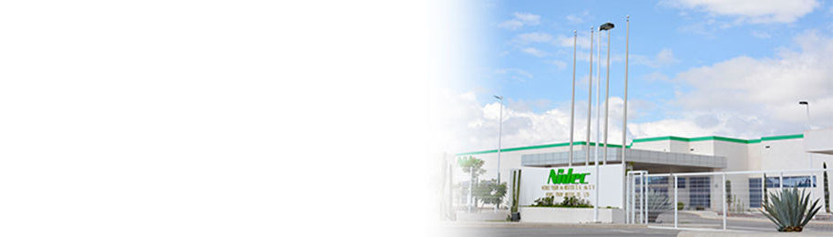 Nidec Powertrain Systems de México, S.A. de C.V.