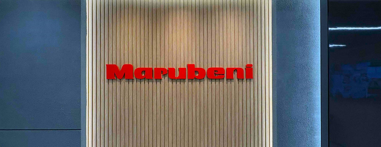 Marubeni India Case study