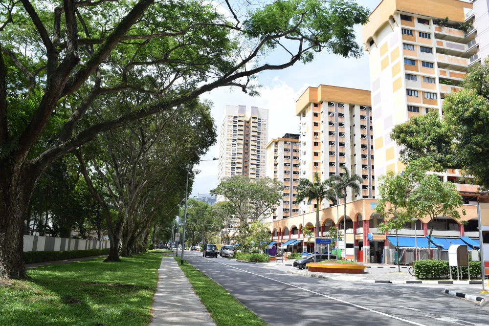 Housing Options