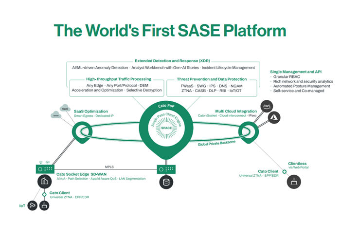 Application and Use Cases for 6G